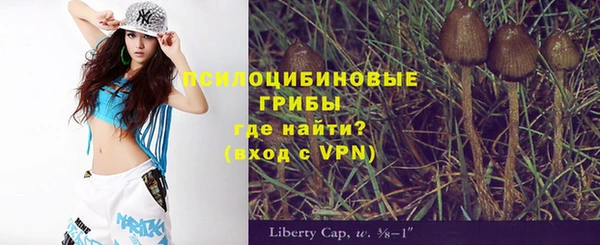 ешки Балахна