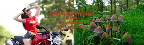 ешки Балахна